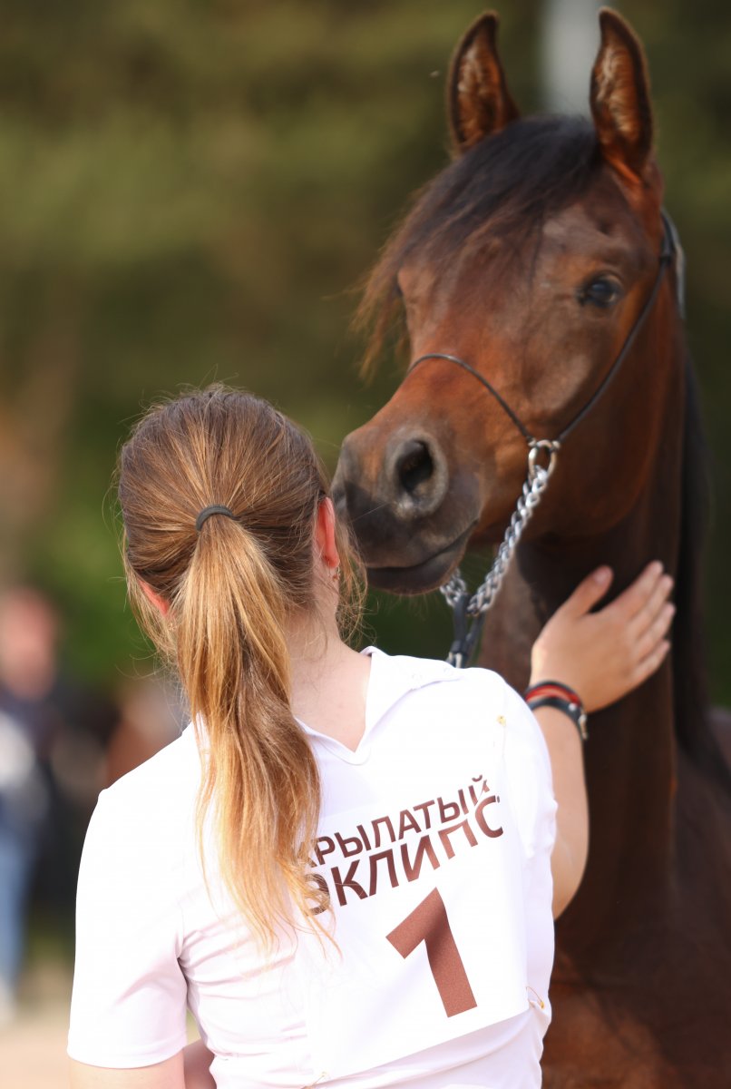 HS_15526.jpg