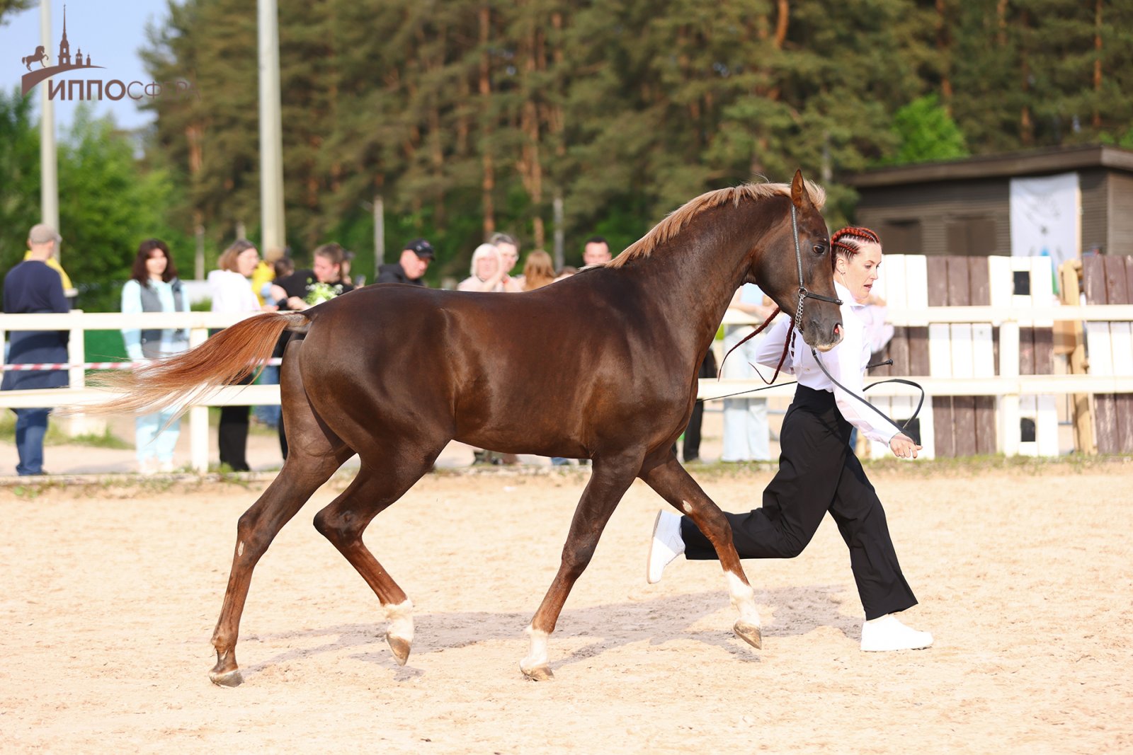 HS_16409.jpg