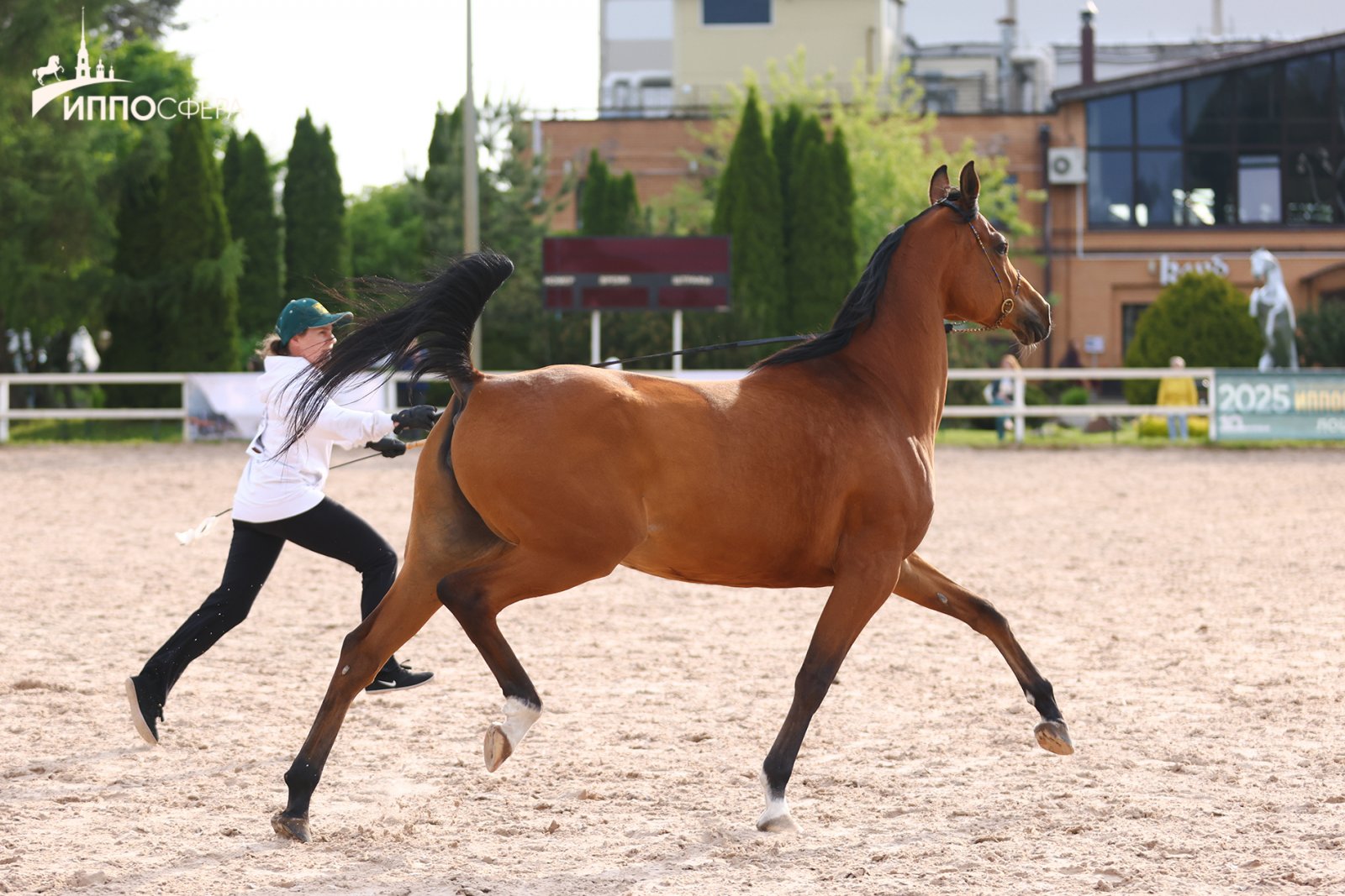 HS_16747.jpg