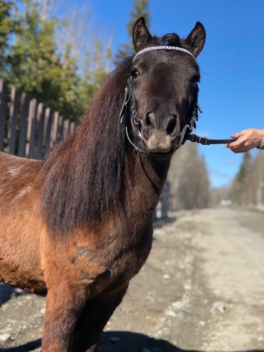 i8_w1t410E4g7827MtnYerY8Xn7TYS5yZQwBKqFAtBT9lApIPr8C5MR38jxAIfiTs5ZwvEv9eZYXCKzvwjKU3F7T (1).jpg