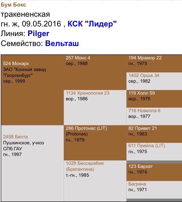 IBfOCdxtW40.jpg