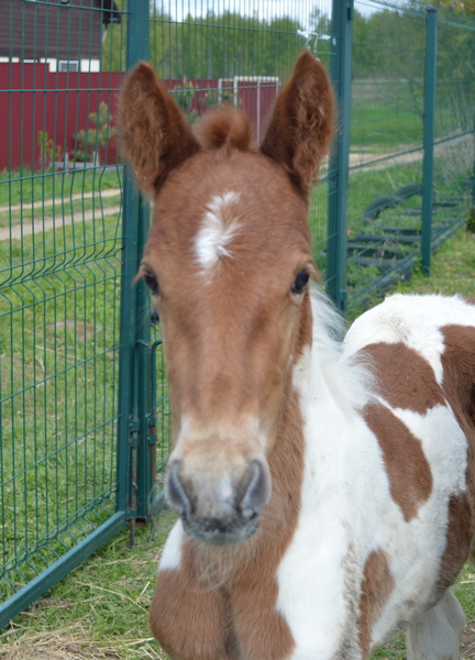 июль2023 043.JPG