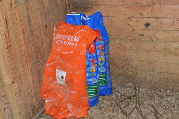 июль2023 075.JPG