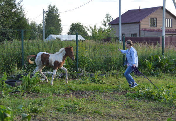 июль2023 207.JPG