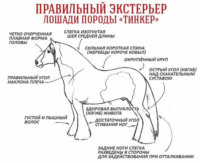 IK1AxPBOCCY.jpg