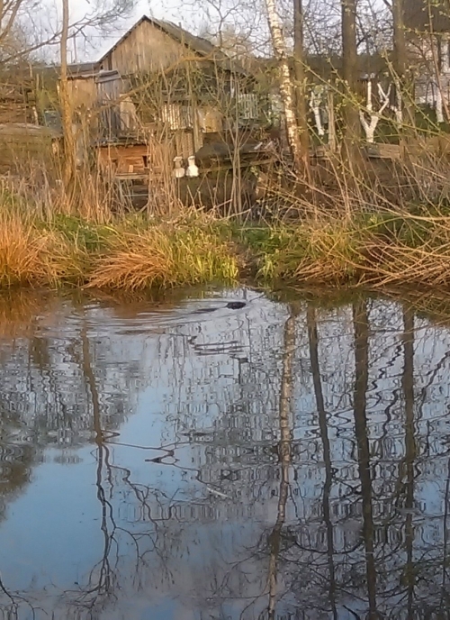IMAG1022_35964012201824_500x688.jpg
