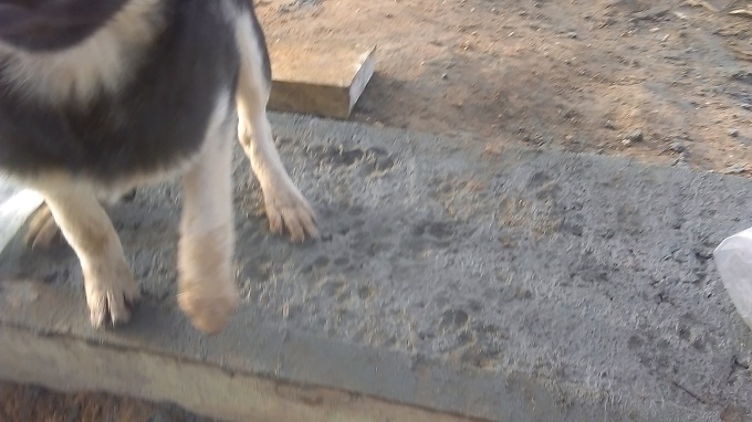 IMAG2618.jpg