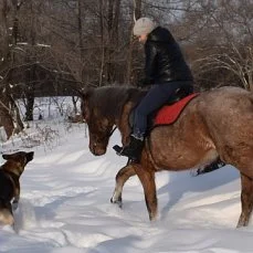image (10).webp