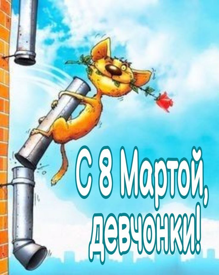 IMAGE 2026-03-08 08:59:30.jpg