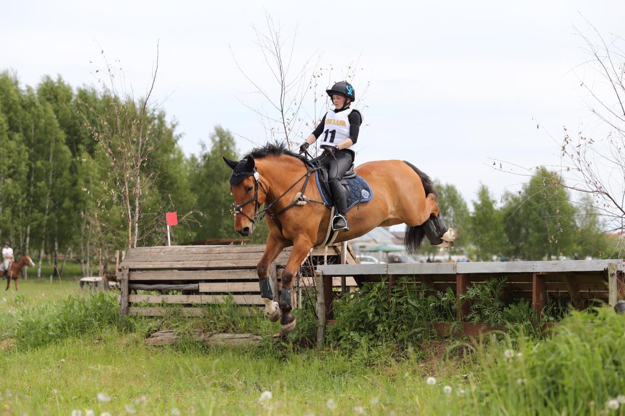 IMAGE 2026-03-24 12:46:10.jpg