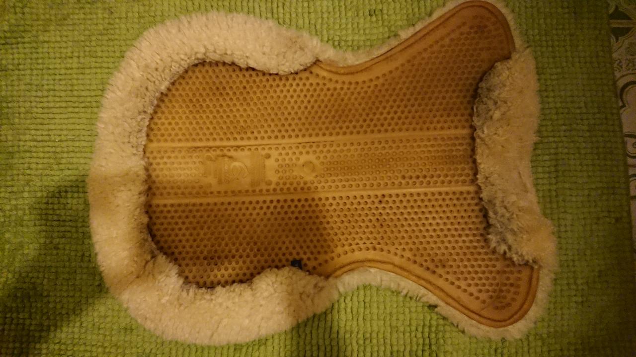 image%3A124819.jpg