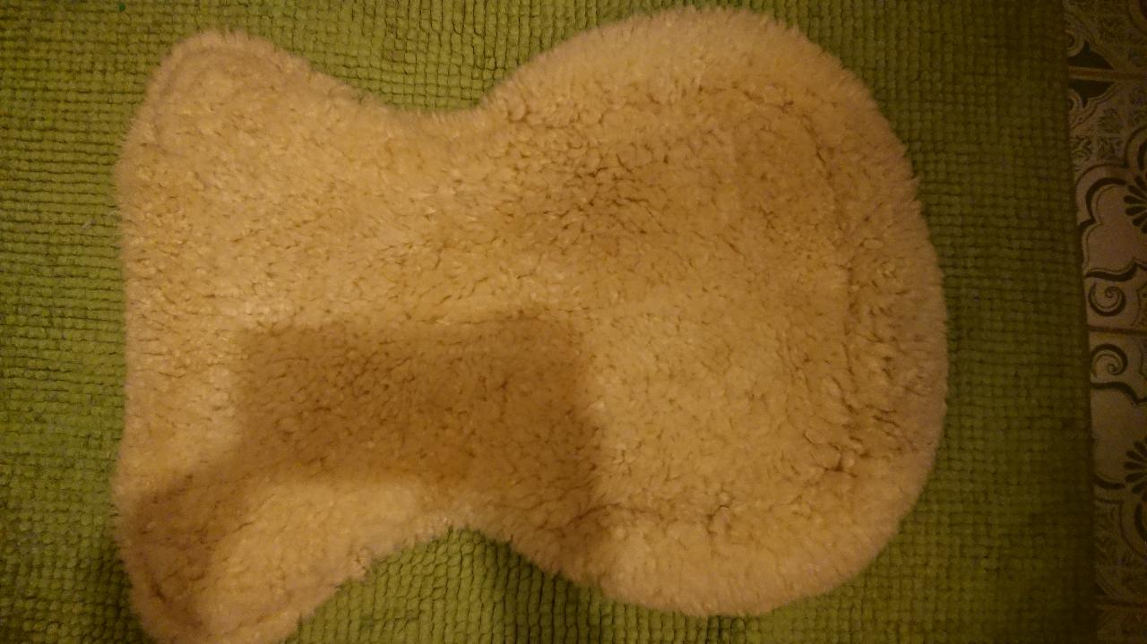 image%3A124820.jpg
