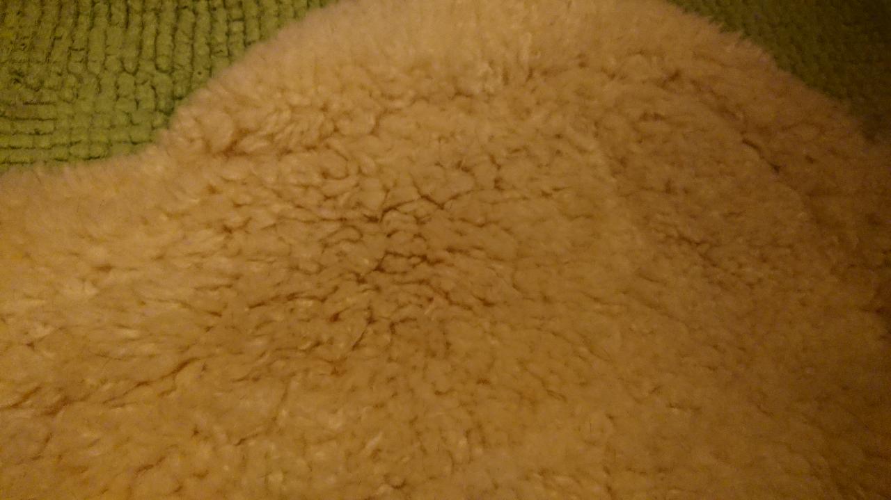 image%3A124823.jpg