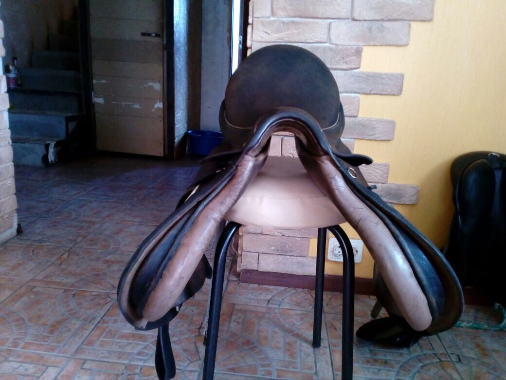 image.jpeg