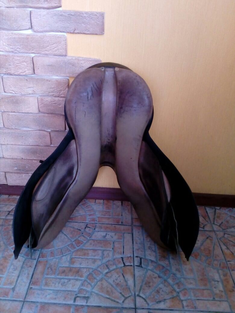 image.jpeg