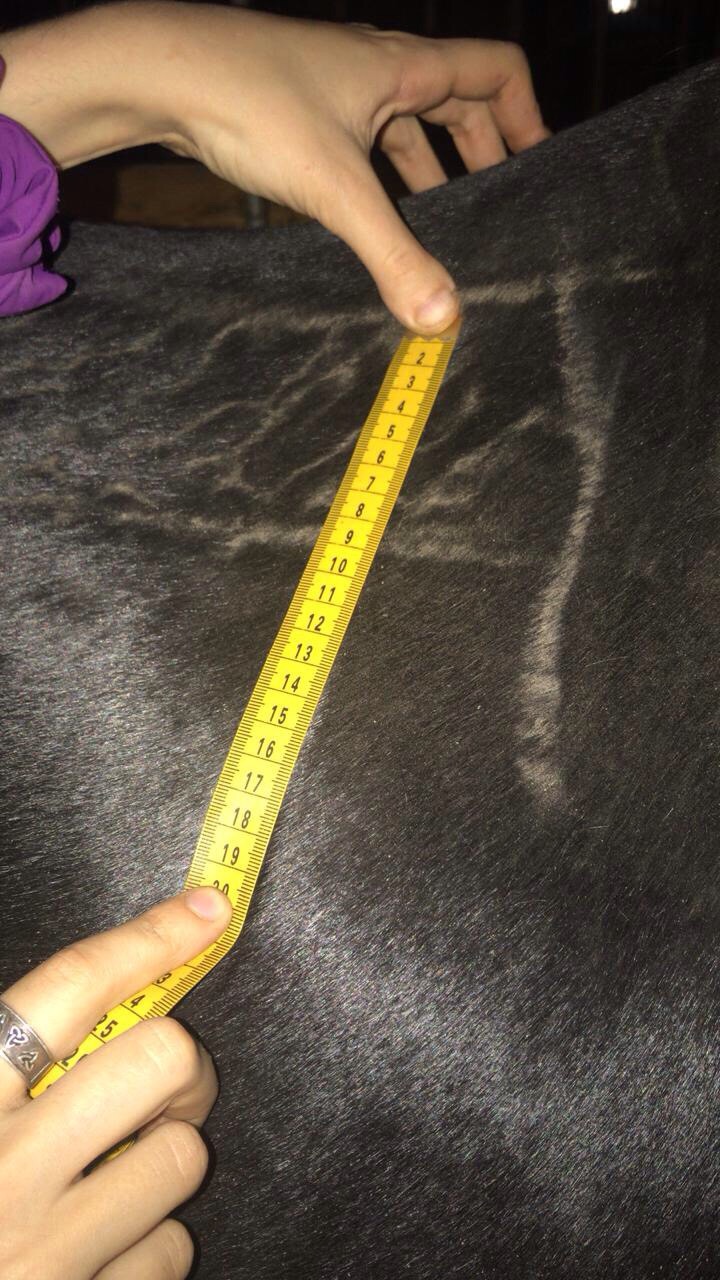 image.jpeg