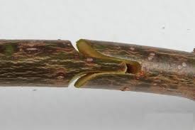 images-1.jpg