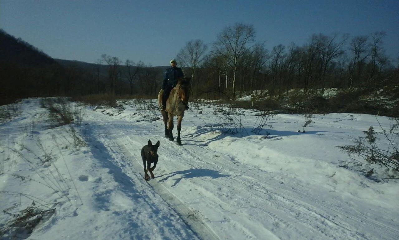 IMG-20170303-WA0009[1].webp