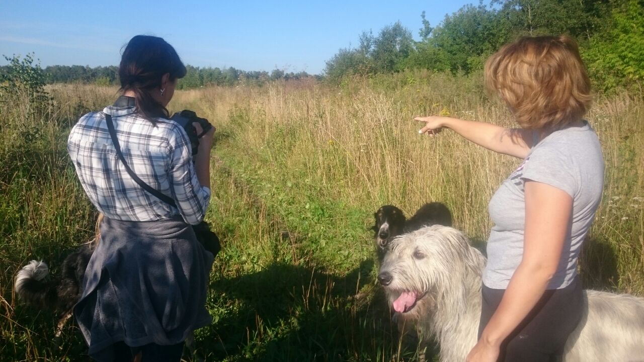 IMG-20170901-WA0010.jpg