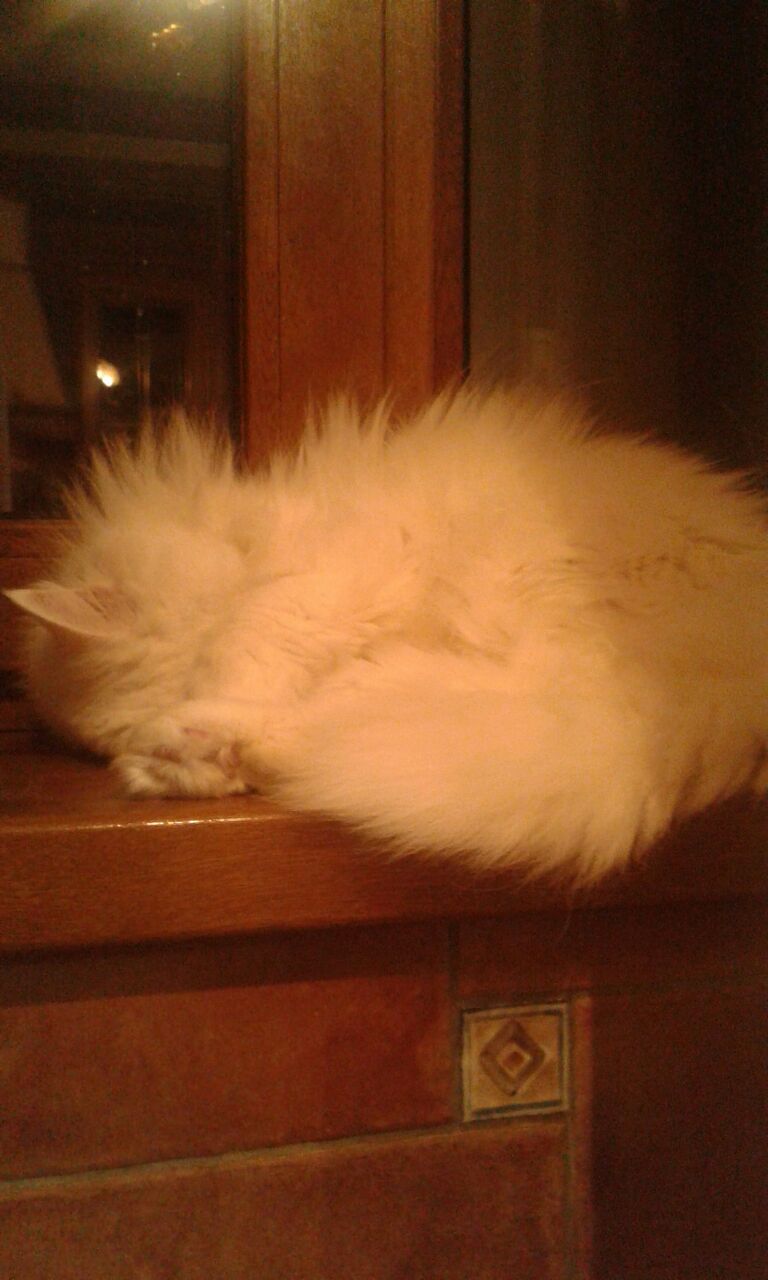 IMG-20180113-WA0000.jpg
