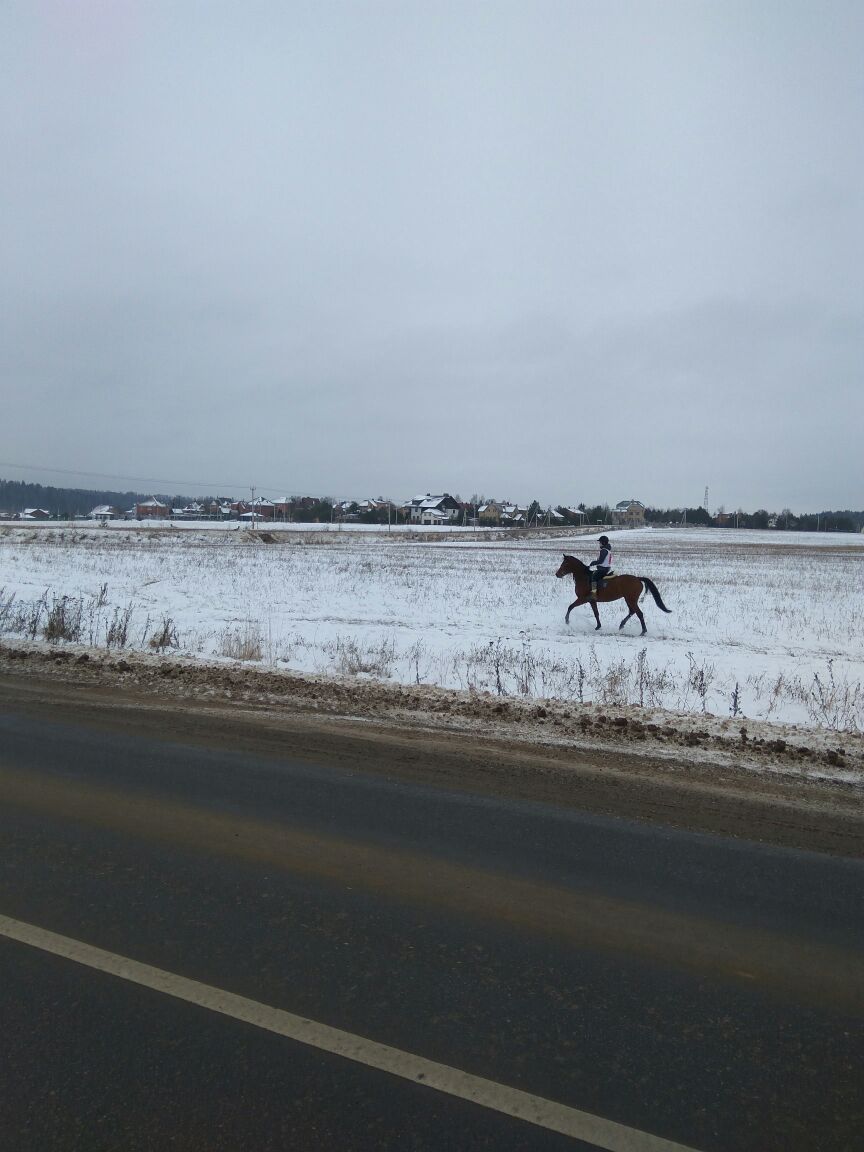 IMG-20180127-WA0000.jpg