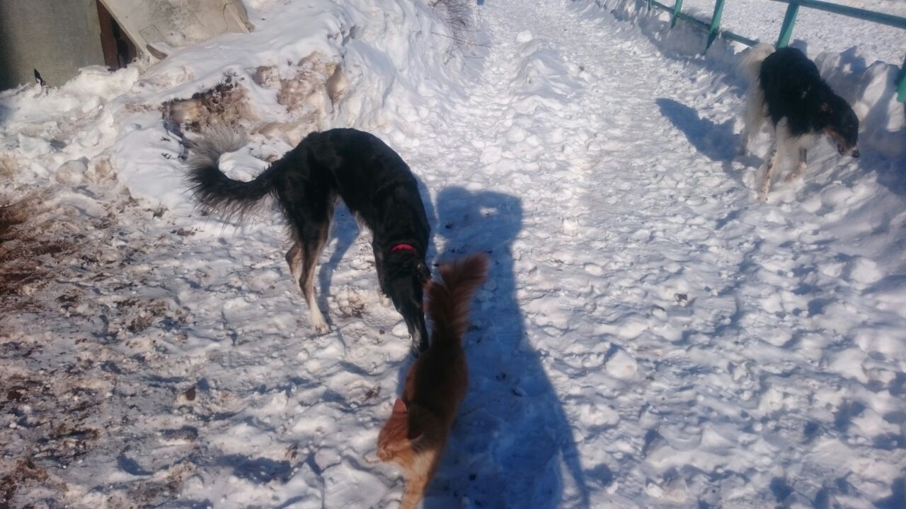 IMG-20180227-WA0011.jpg