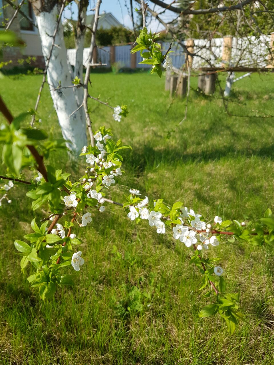 IMG-20180505-WA0001.jpg