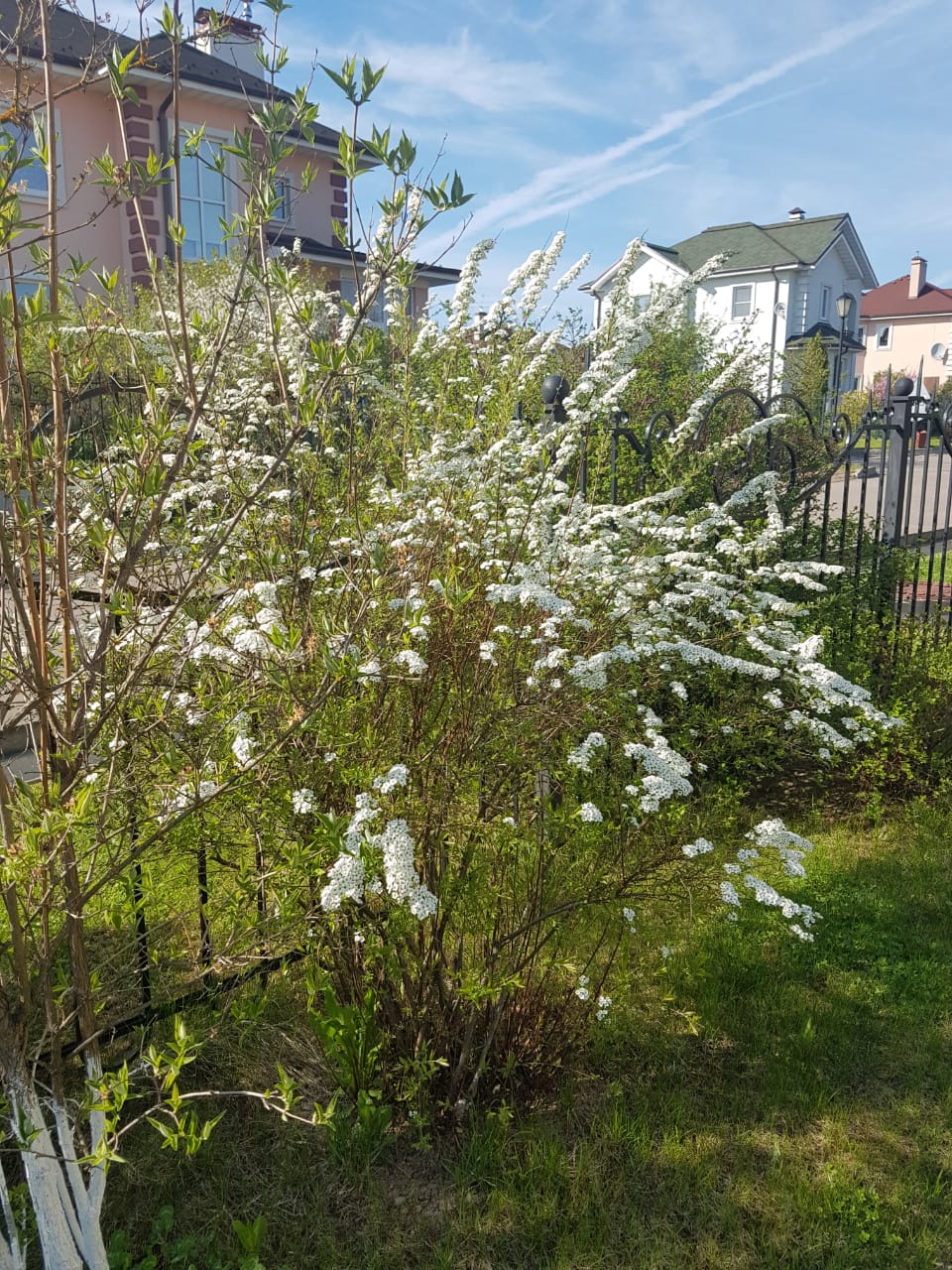 IMG-20180511-WA0003.jpg