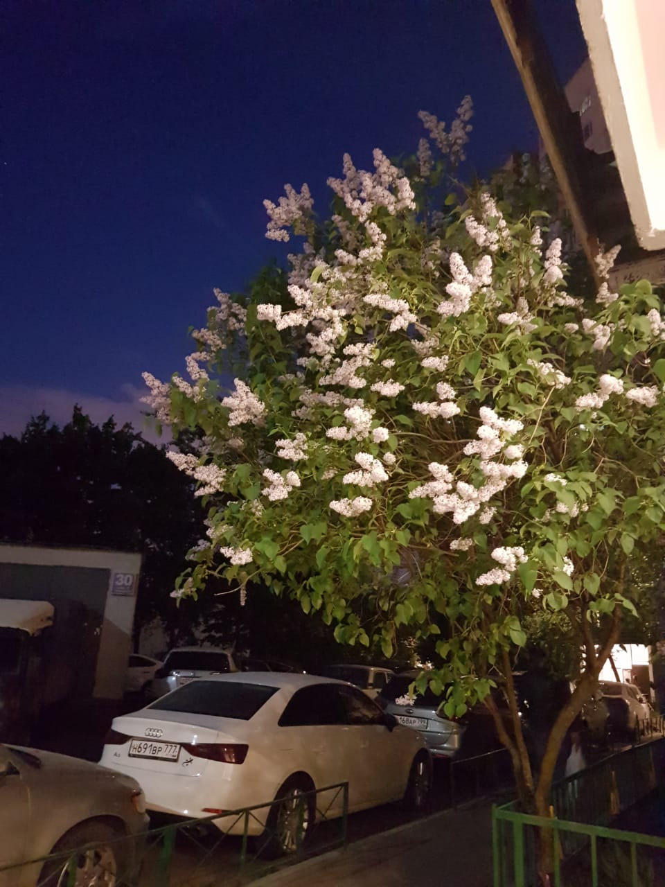 IMG-20180519-WA0011.jpg