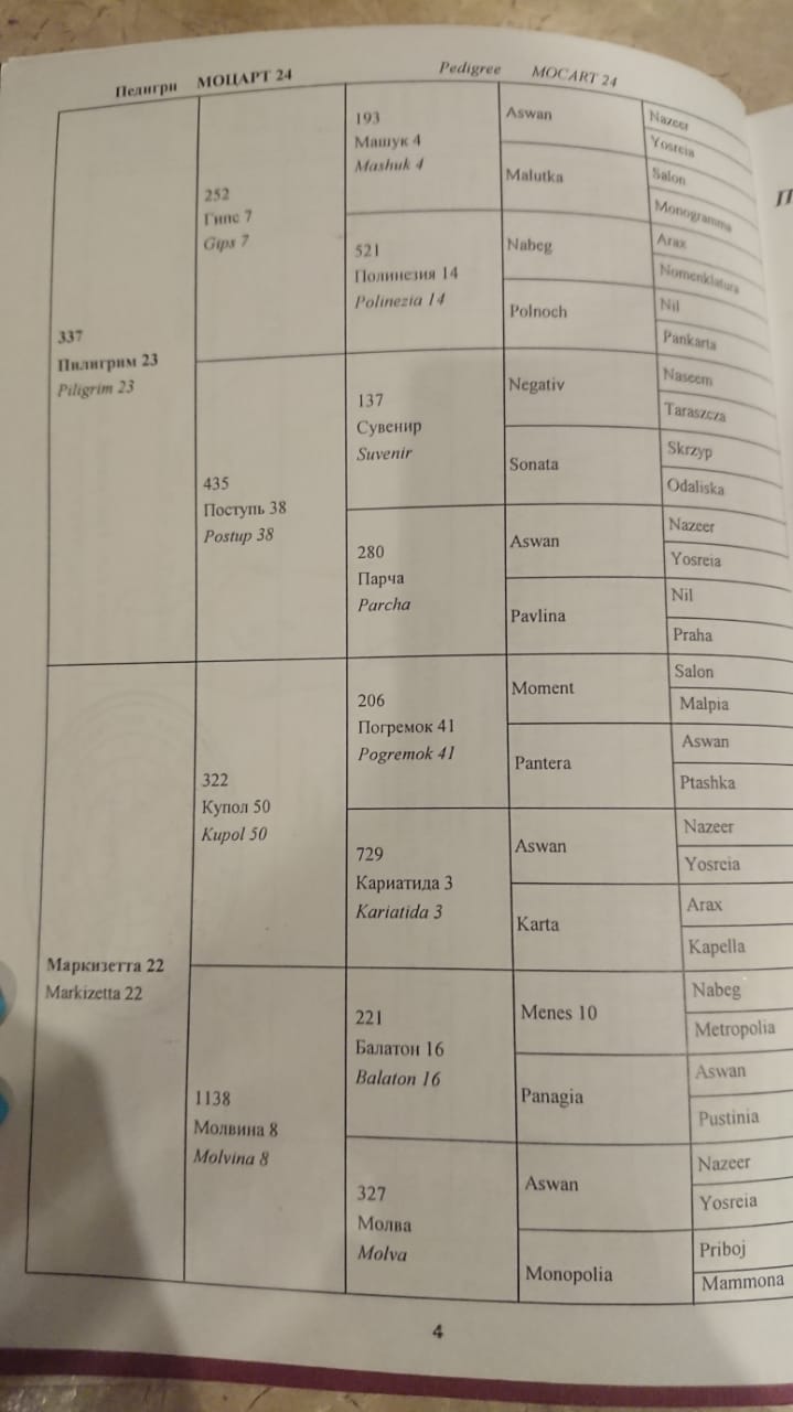 IMG-20180816-WA0078.jpg