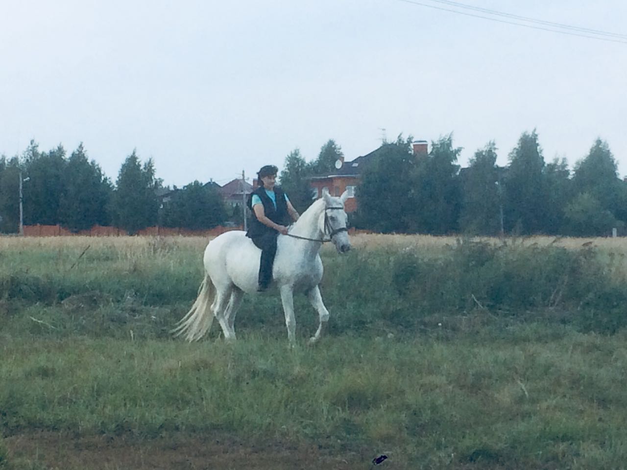 IMG-20180903-WA0008.jpg