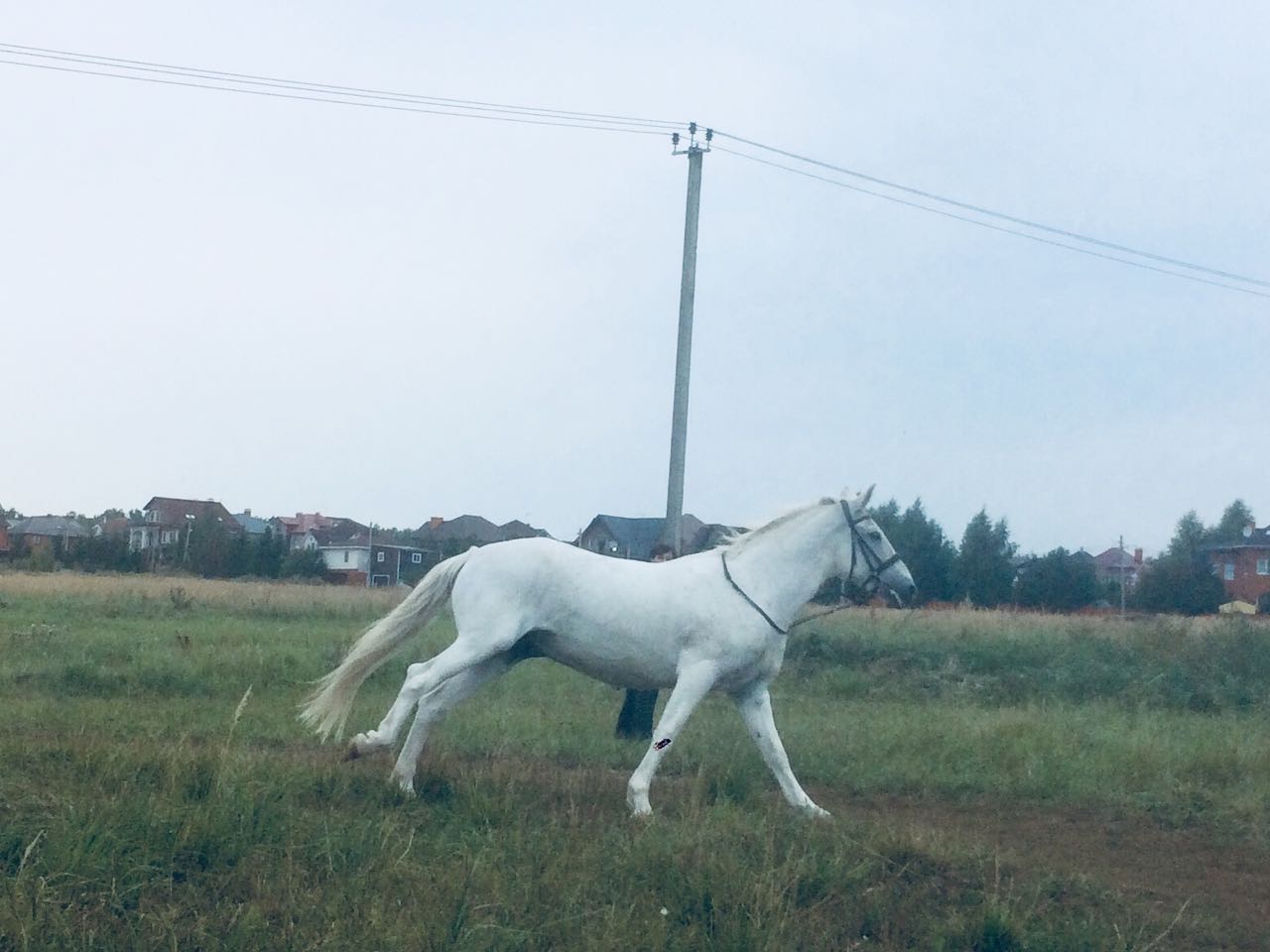 IMG-20180903-WA0030.jpg