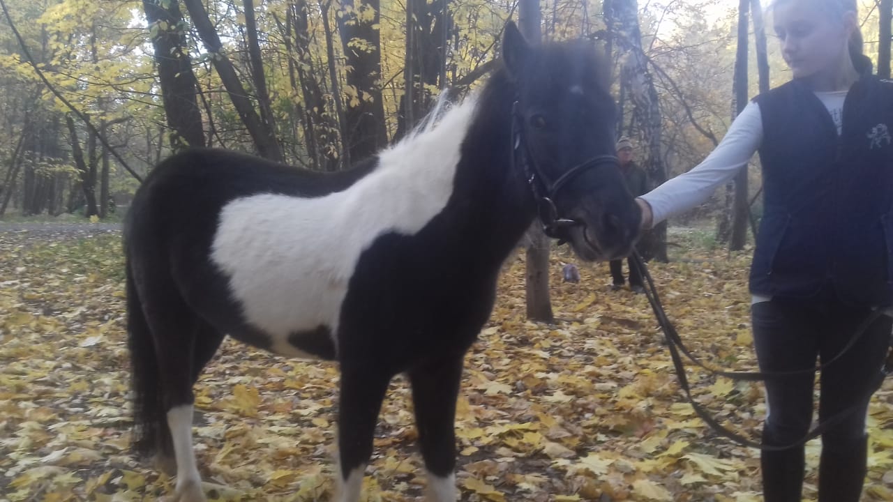 IMG-20181014-WA0003.jpg