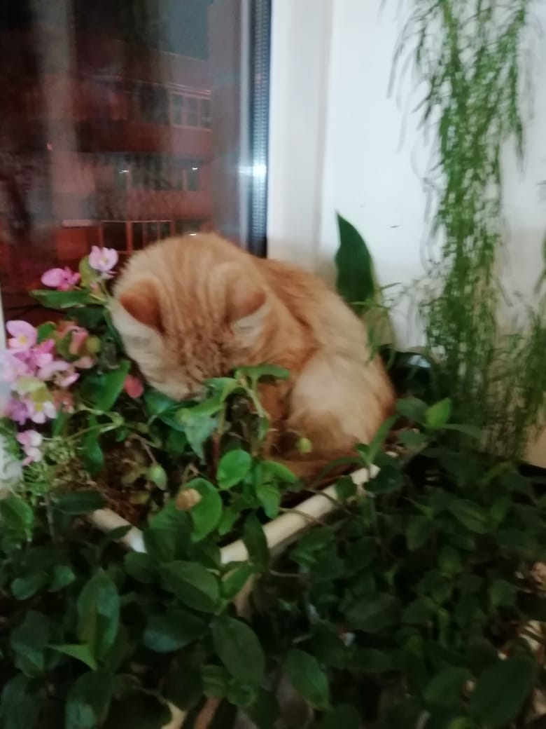 IMG-20181019-WA0001.jpg