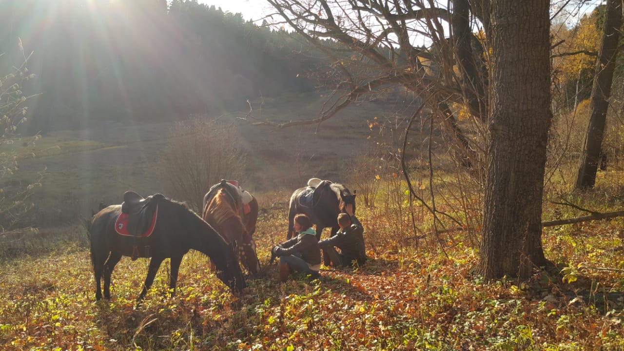 IMG-20181021-WA0002.jpg