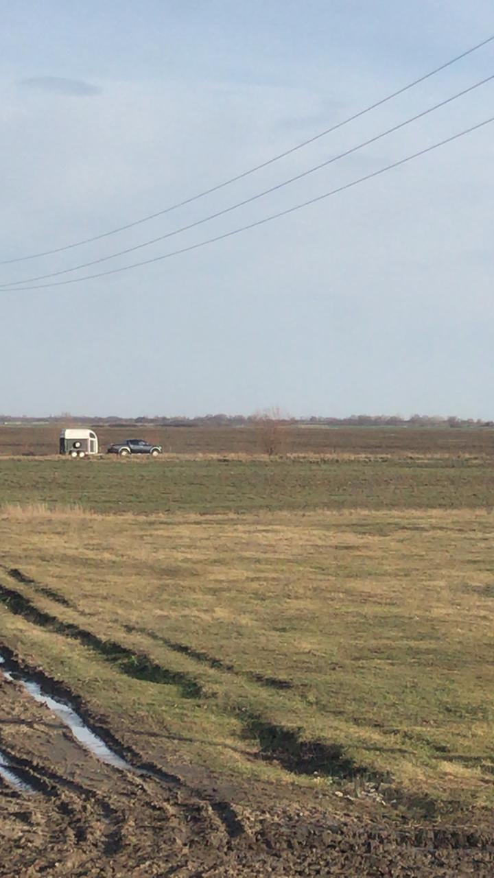 IMG-20190131-WA0008.jpg