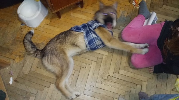 IMG-20190209-WA0001.jpg_руна.jpg