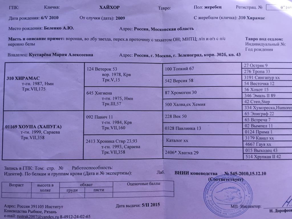 IMG-20190402-WA0000.jpg
