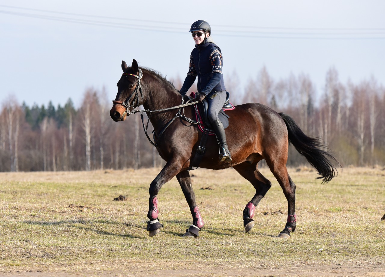 IMG-20190413-WA0000.jpg