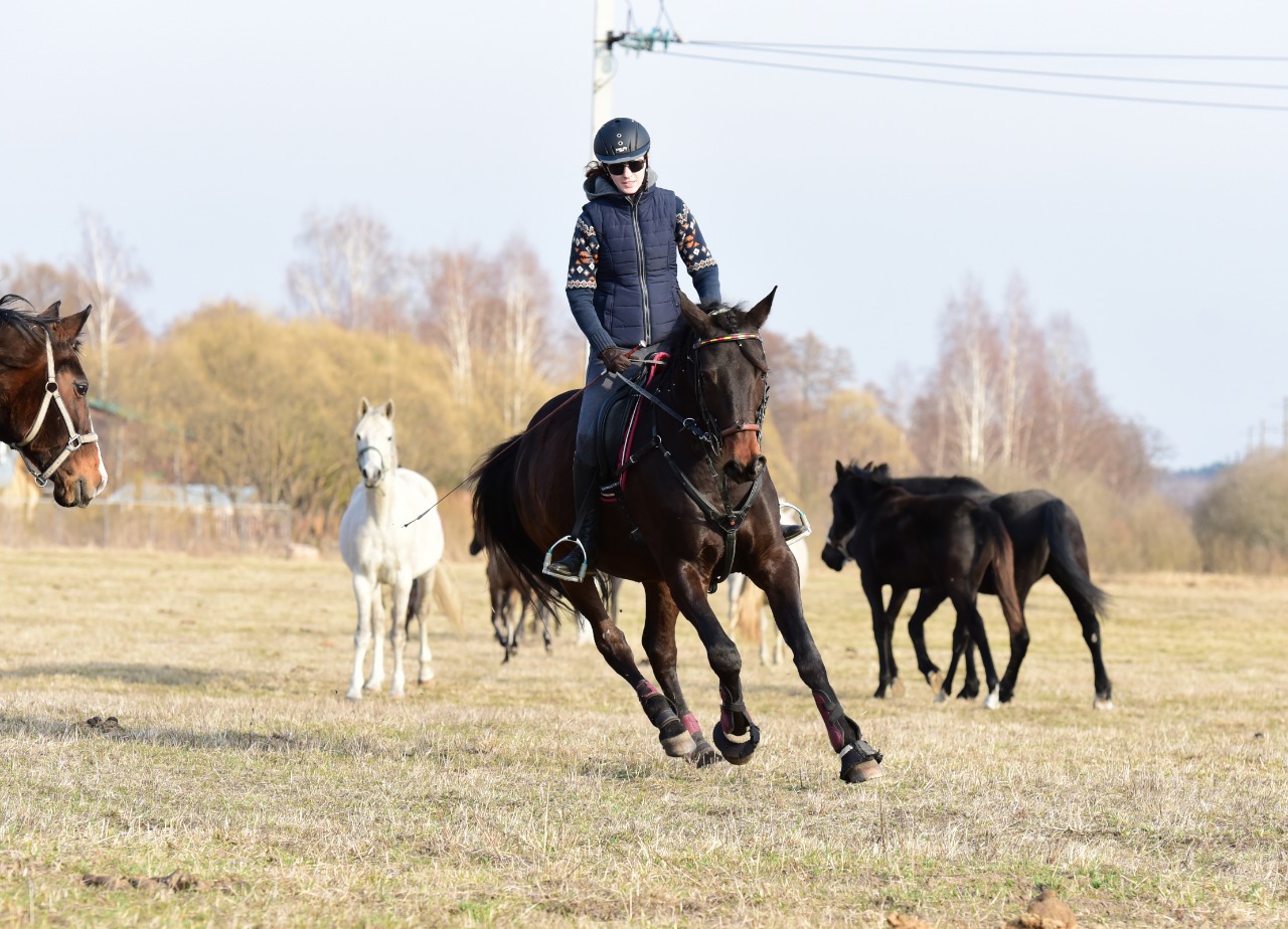 IMG-20190413-WA0004.jpg