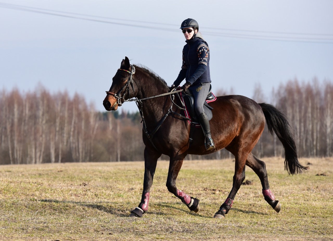 IMG-20190413-WA0009.jpg