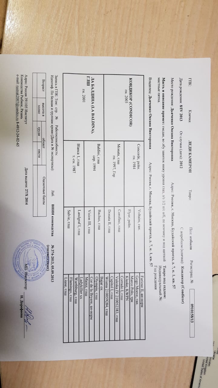IMG-20190430-WA0047.jpg