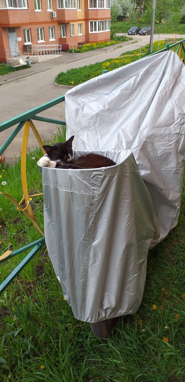 IMG-20190515-WA0006.jpg