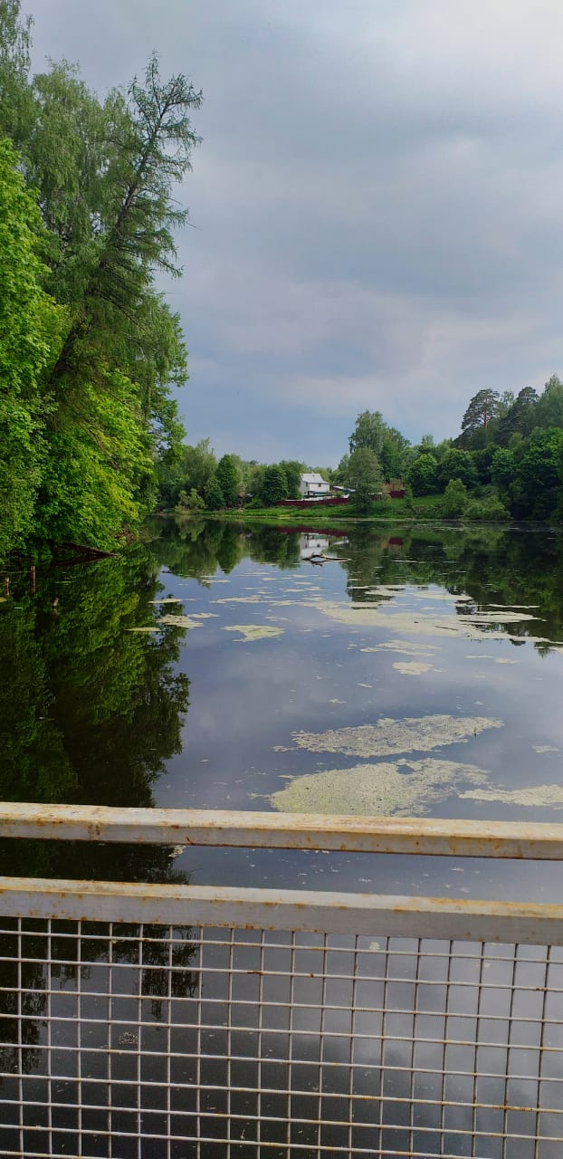IMG-20190523-WA0006.jpg