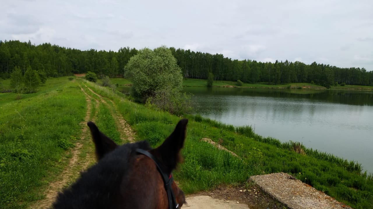IMG-20190618-WA0021.jpg