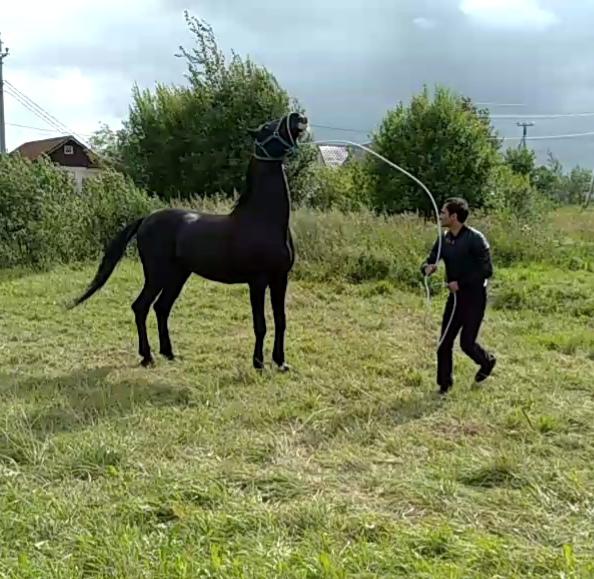 IMG-20190805-WA0009.jpg
