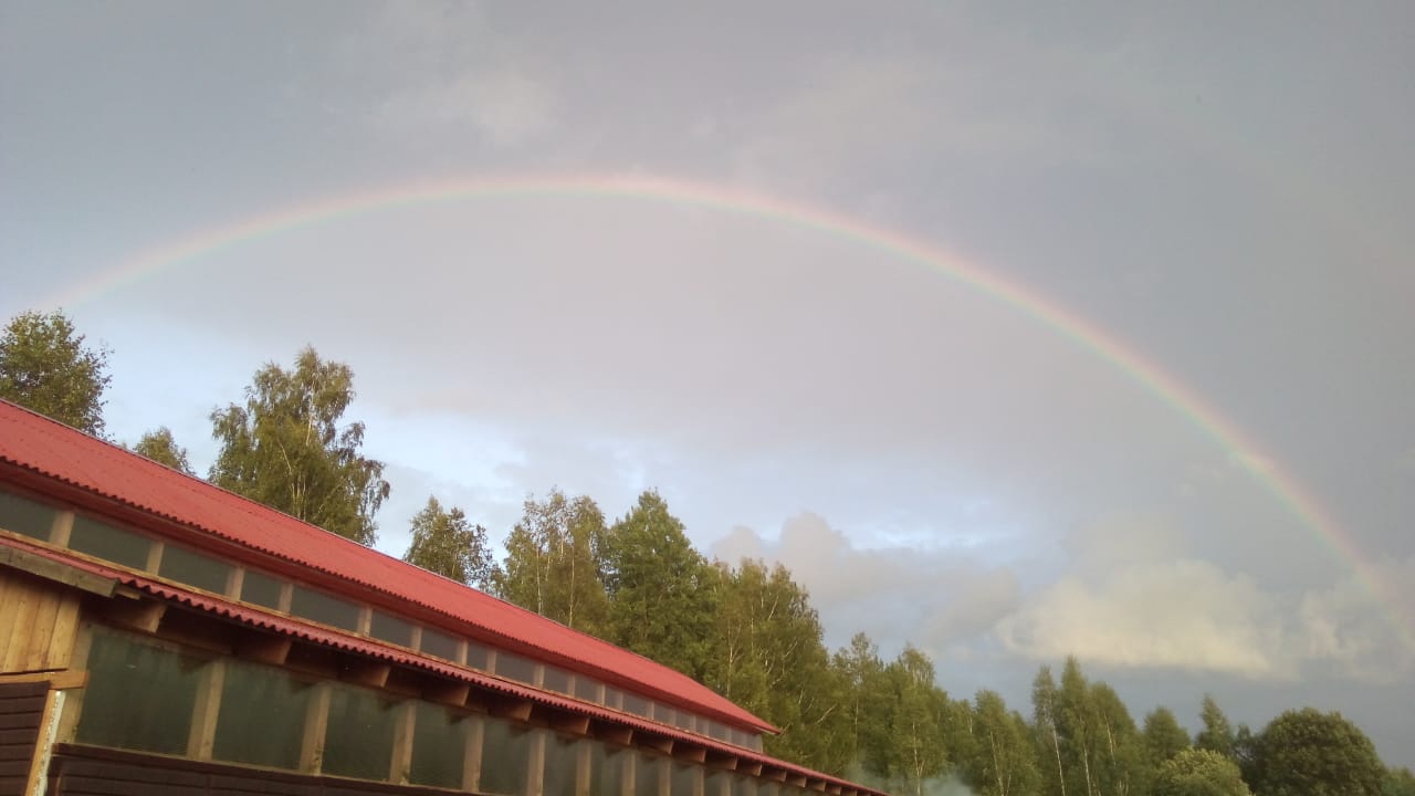 IMG-20190817-WA0005.jpg