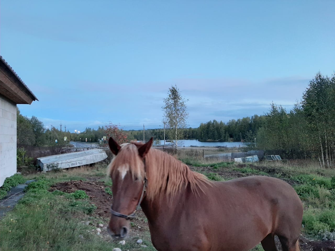 IMG-20190918-WA0059.jpg