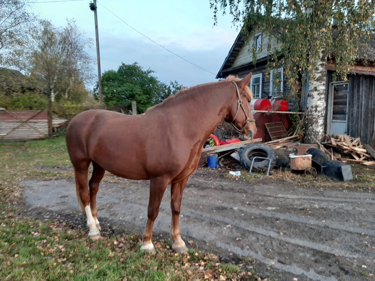 IMG-20190918-WA0063.jpg