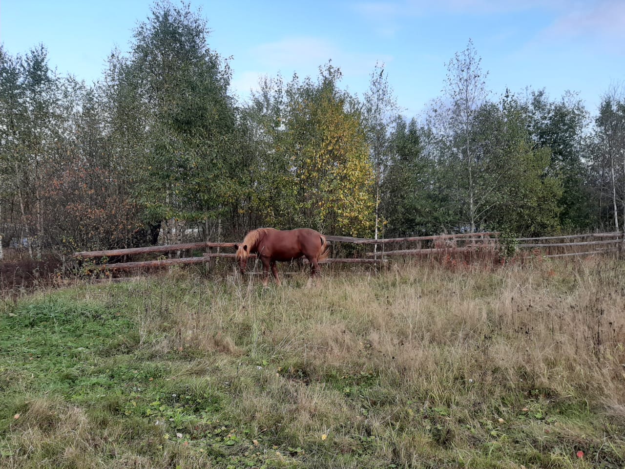 IMG-20190918-WA0066.jpg